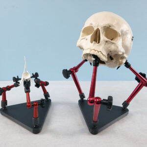 Laboratory Specimen Stand