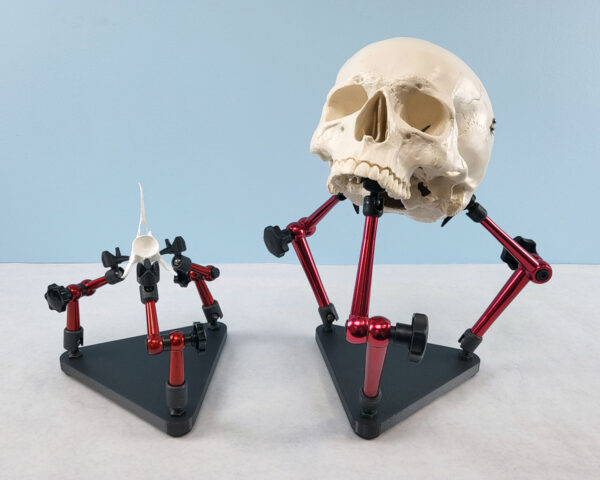 Laboratory Specimen Stand