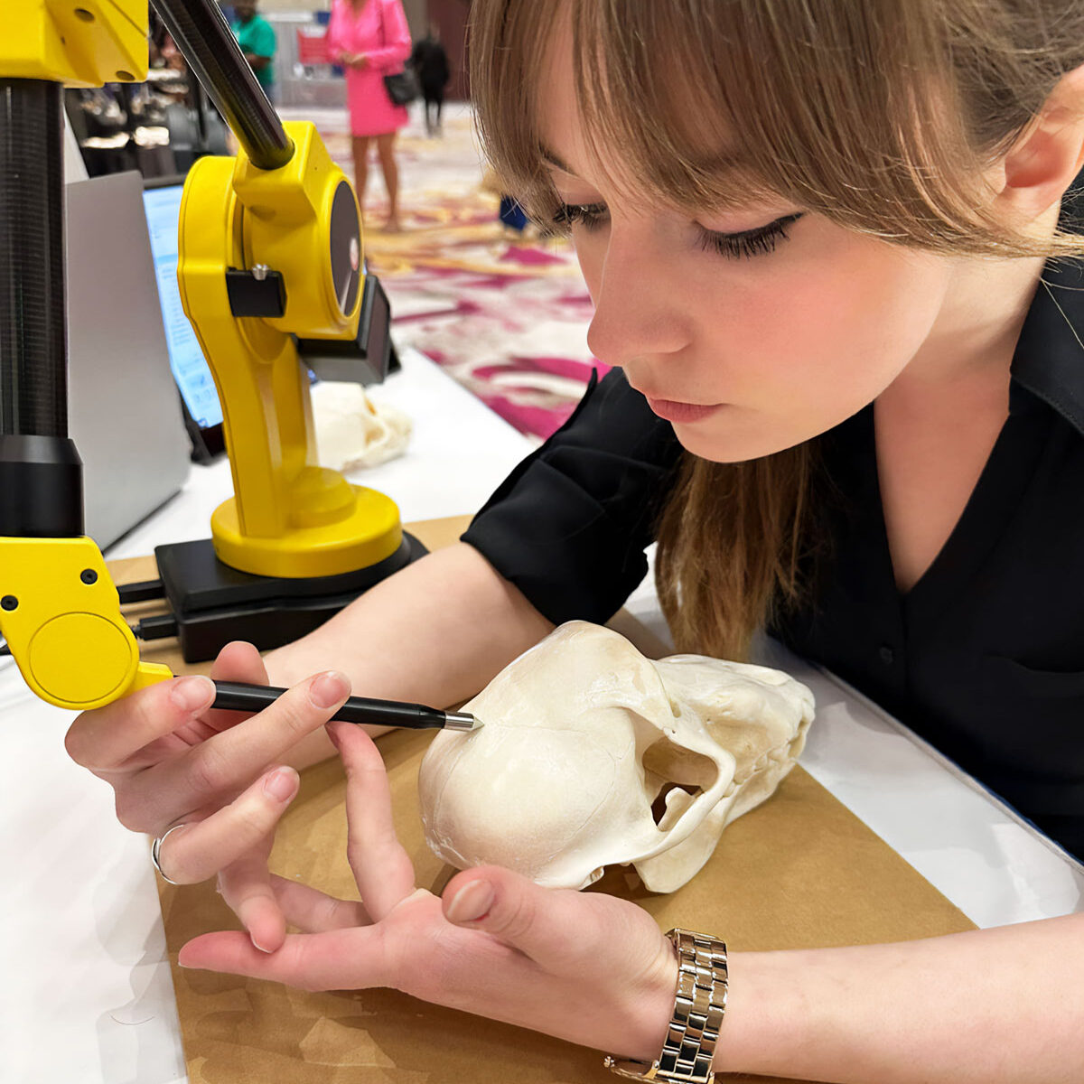 A woman wearing a black shirt carefully measures a primate skull with a MicroScribe 3D measuring arm at an anthropology conference.